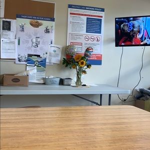 Meet your Posher, Clara